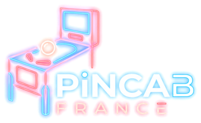 Pincab France